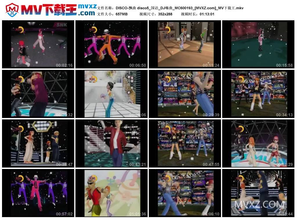 DISCO-飘曲 disco5_国语_DJ嗨曲_MC600193